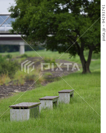 新緑の河川敷公園とベンチ 94293741