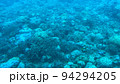水中から見た奄美大島の海 94294205