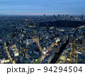 渋谷スカイから見た夜の東京の景色 94294504