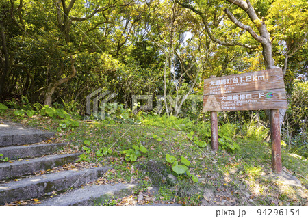 大瀬埼灯台へ向かう遊歩道　椿ロードの入口 94296154