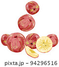 水々しいりんごの手描き水彩風イラスト 94296516