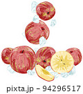 水々しいりんごの手描き水彩風イラスト 94296517