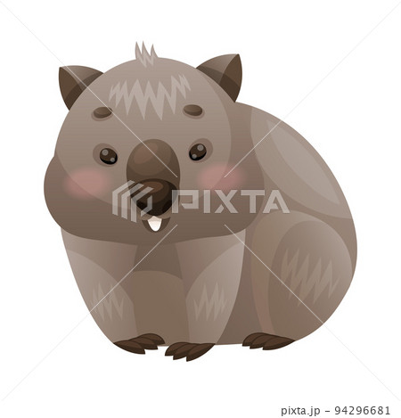Cute Grey Wombat as Australian Animal and Endemic Fauna Vector Illustration Cute Grey Wombat as Australian Animal and Endemic Fauna Vector Illustration 94296681
