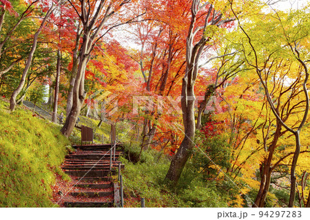 八瀬もみじの小径 八瀬もみじの小径 94297283