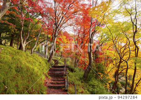 八瀬もみじの小径 94297284