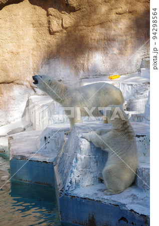 動物園の動物たち 94298564
