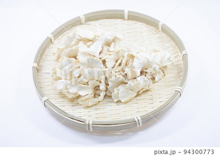 シロマイタケ 94300773