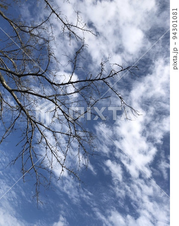 秋の空 秋の空 94301081