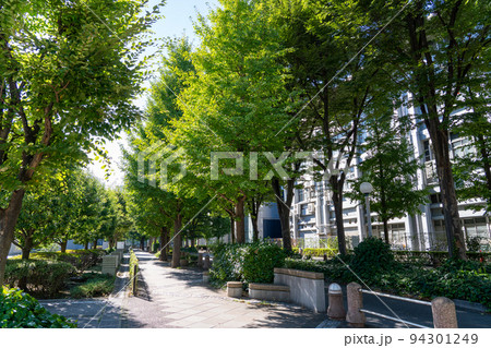 新宿区 コズミック通り 新宿区 コズミック通り 94301249