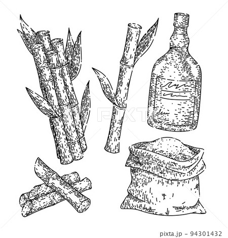 1,119 Sugarcane Drawing Images, Stock Photos & Vectors | Shutterstock