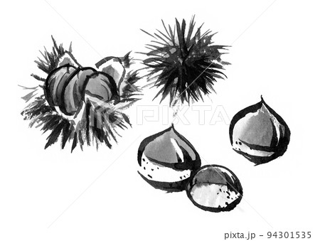 筆のにじみをいかして描いた栗の和風イラスト（水墨画） 94301535
