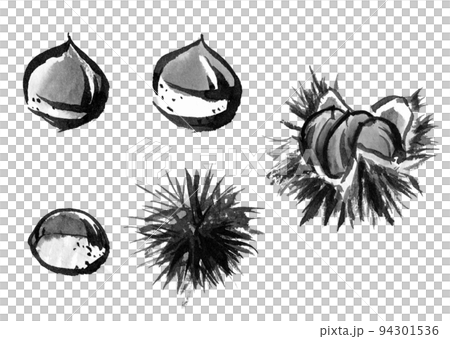使用毛筆流血繪製的日式栗子（水墨畫）插圖 94301536