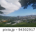 ハワイの景色 94302917