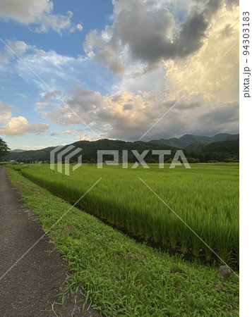 弥五島駅周辺の風景 弥五島駅周辺の風景 94303183