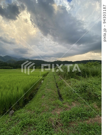 弥五島駅周辺の風景 弥五島駅周辺の風景 94303187