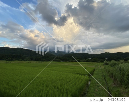 弥五島駅周辺の風景 弥五島駅周辺の風景 94303192