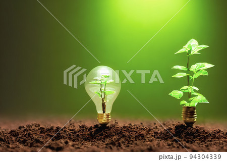 Natural energy concept. Light bulb with clean nature symbol inside, Tree, little plant 94304339