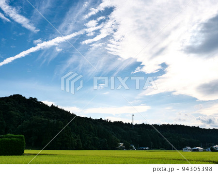 黄色く色ずいた田んぼと青い空と雲の饗宴 94305398