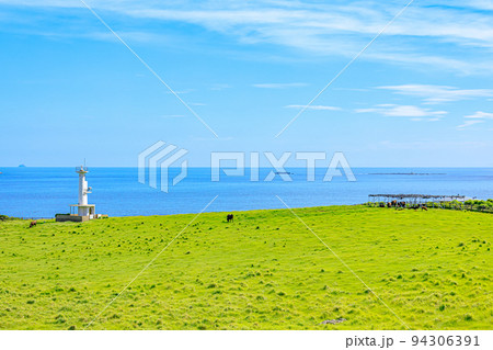 加部島にある夏の牧場と肥前立石埼灯台 佐賀県唐津市 加部島にある夏の牧場と肥前立石埼灯台 佐賀県唐津市 94306391