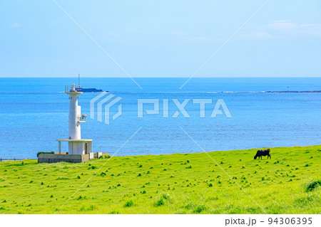 加部島にある夏の牧場と肥前立石埼灯台 佐賀県唐津市 加部島にある夏の牧場と肥前立石埼灯台 佐賀県唐津市 94306395