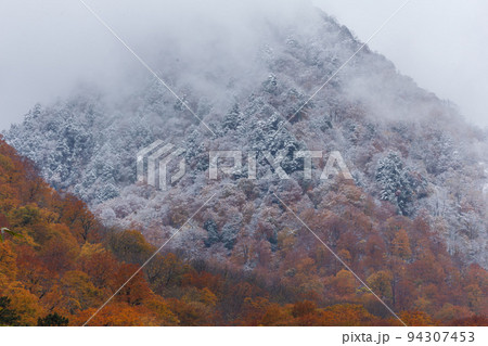 初冬 紅葉と初雪の山 岐阜県白川村 の写真素材 [94307453] - PIXTA