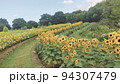 ハイジの村に咲いていた花 94307479