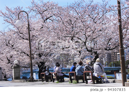 桜が満開の隅田公園。ベンチの座り友達、夫婦、恋人同士でお花見。大勢の人がおしゃべりしながら屋形船まで 94307835