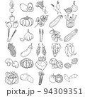 Vegetables Hand Drawn Doodle Line Art Outline Set 94309351