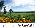 北海道の花と畑とトラクター 94309361