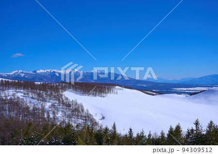 冬の霧ヶ峰高原からカラマツ林、富士山,八ヶ岳連峰を望む 冬の霧ヶ峰高原からカラマツ林、富士山,八ヶ岳連峰を望む 94309512