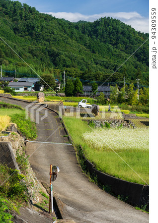 段々畑をのぼる道　中野の棚田 94309559