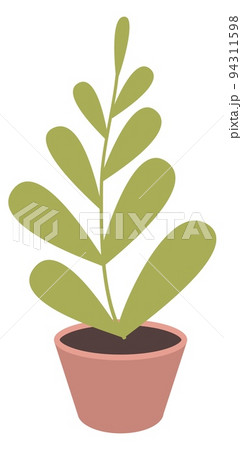 Green houseplant. Cute home decoration. Office interior plant 94311598