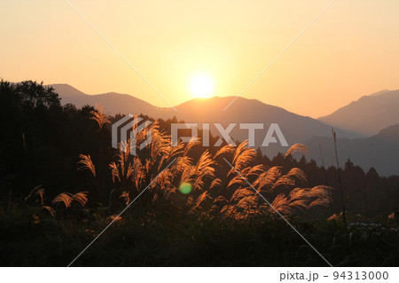 山の稜線に沈みゆく夕陽にススキの穂が見送っているようでした。の写真