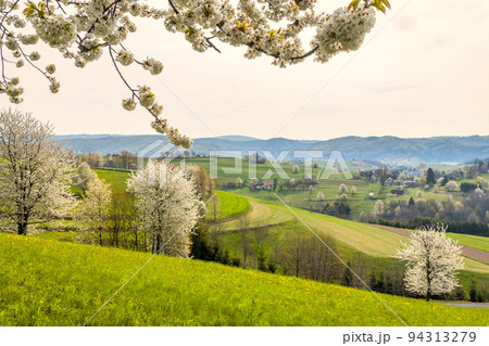 Spring rural landscape motif. 94313279