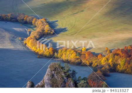 Trees in the valley in autumn colors. Trees in the valley in autumn colors. 94313327