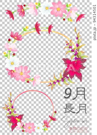 Seasonal Flower Frameset - September (Cosmos, Hagetou, Murasakishikibu) Seasonal Flower Frameset - September (Cosmos, Hagetou, Murasakishikibu) 94314501