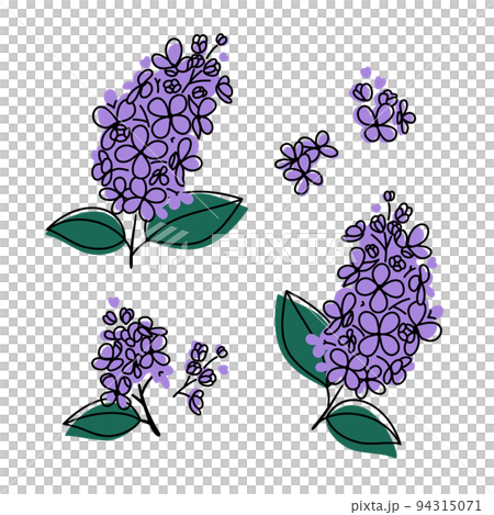Lilac flowers abstract. isolated vector elements. 94315071