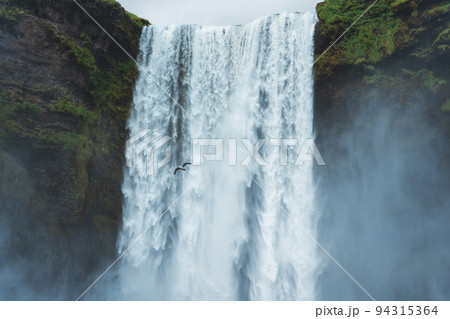 Seagull bird flying through powerful Skogafoss waterfall in summer 94315364