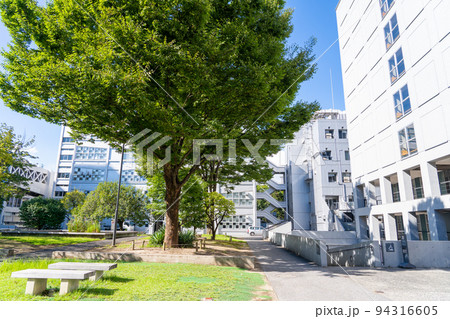 早稲田大学理工学部　西早稲田キャンパス 94316605