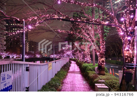 目黒川冬のイルミネーション 目黒川冬のイルミネーション 94316766