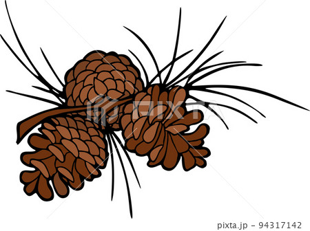 color graphic image of three cones on a branch, isolated element, decor color graphic image of three cones on a branch, isolated element, decor 94317142