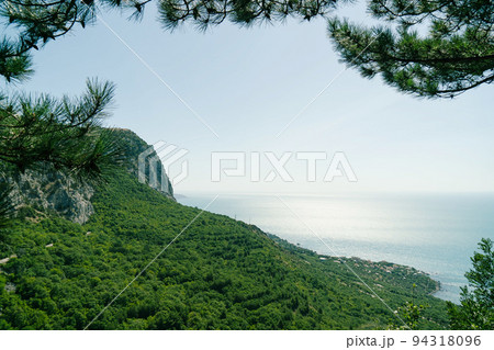 View of the panorama of the beach and the black sea in the background down. Ai-Petri, Crimea. Pine branch overlooking the cliff in a beautiful style. View from above. View of the panorama of the beach and the black sea in the background down. Ai-Petri, Crimea. Pine branch overlooking the cliff in a beautiful style. View from above. 94318096