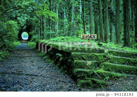 新城市　豊橋鉄道旧田口線の三河大草駅跡の遺構 94318193