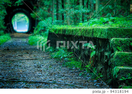 新城市　豊橋鉄道旧田口線の三河大草駅跡の遺構 94318194