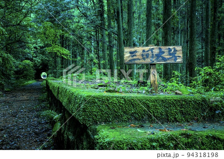 新城市　豊橋鉄道旧田口線の三河大草駅跡の遺構 94318198
