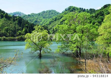 荒沢ダム 県内最大規模 荒沢ダム 県内最大規模 94318814