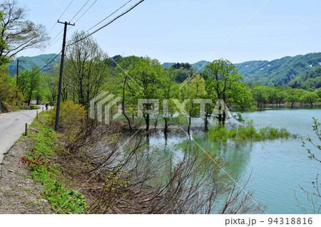 荒沢ダム 県内最大規模 94318816