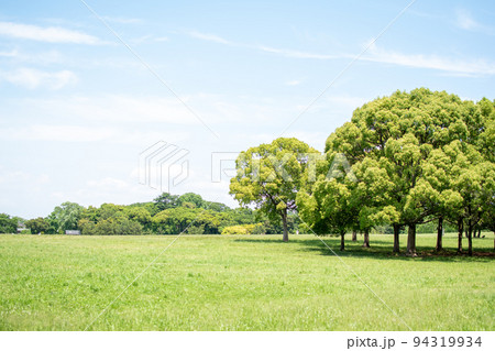 水元公園 中央広場／東京都葛飾区 94319934