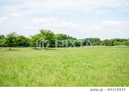 水元公園 中央広場/東京都葛飾区 水元公園 中央広場/東京都葛飾区 94319935