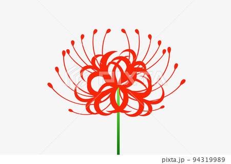 曼珠沙華 94319989